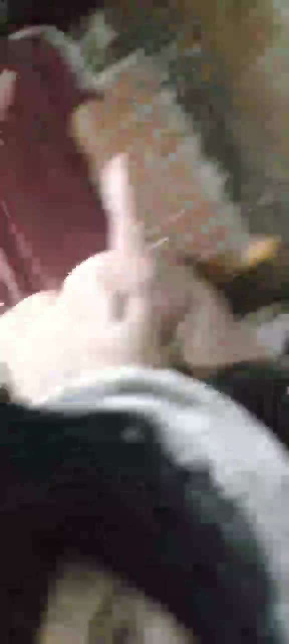 Melina Guida sex with BF – 0nlyF Leaked video