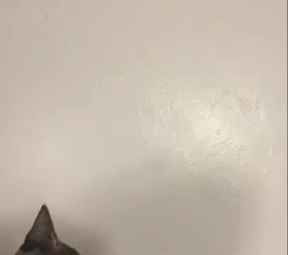 Layladeline onlyfans leak – Hardcore fucking at the morning