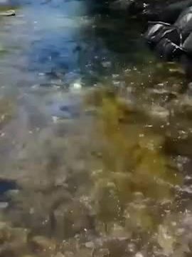 Myla Del Rey OF leak Sextape – Sucks a stranger Big Cock – cumshot in mouth