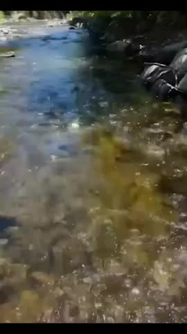 Myla Del Rey OF leak Sextape – Sucks a stranger Big Cock – cumshot in mouth