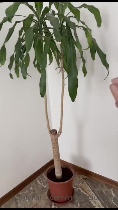 Mady Gio onlyfans leak – Topless show off perfect body