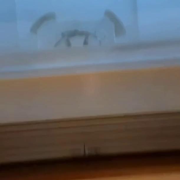 Kay Hansen Sex on Boat Video Leaked